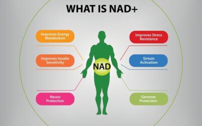 What’s NAD+ & What Can it do for Me?