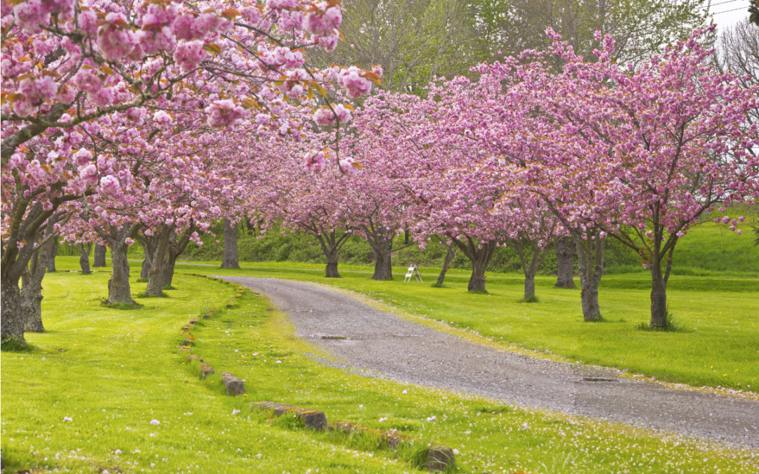 May Weight Loss Newsletter
