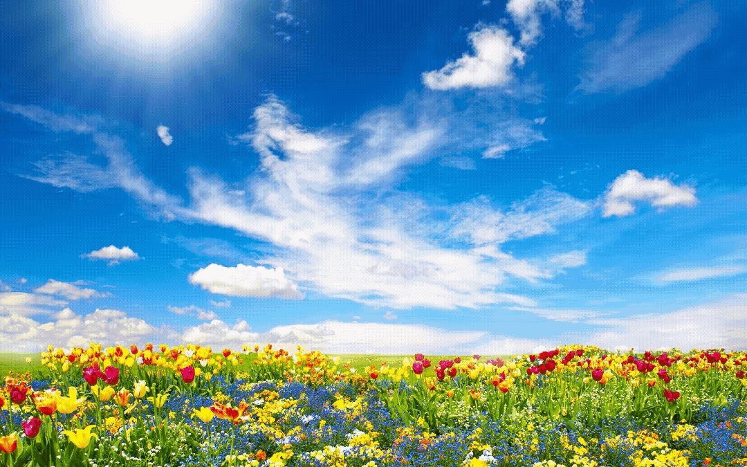 May 2025 Weight Loss Newsletter
