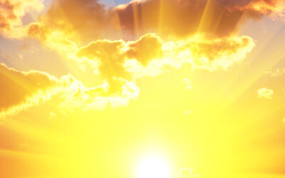 Why You Need More Vitamin D (and How to Get It Without the Sun)