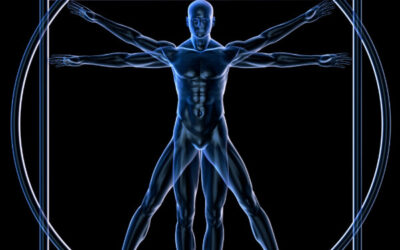 Track Your Progress Like Never Before with a Body Composition Scan