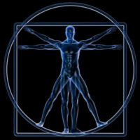 Track Your Progress Like Never Before with a Body Composition Scan