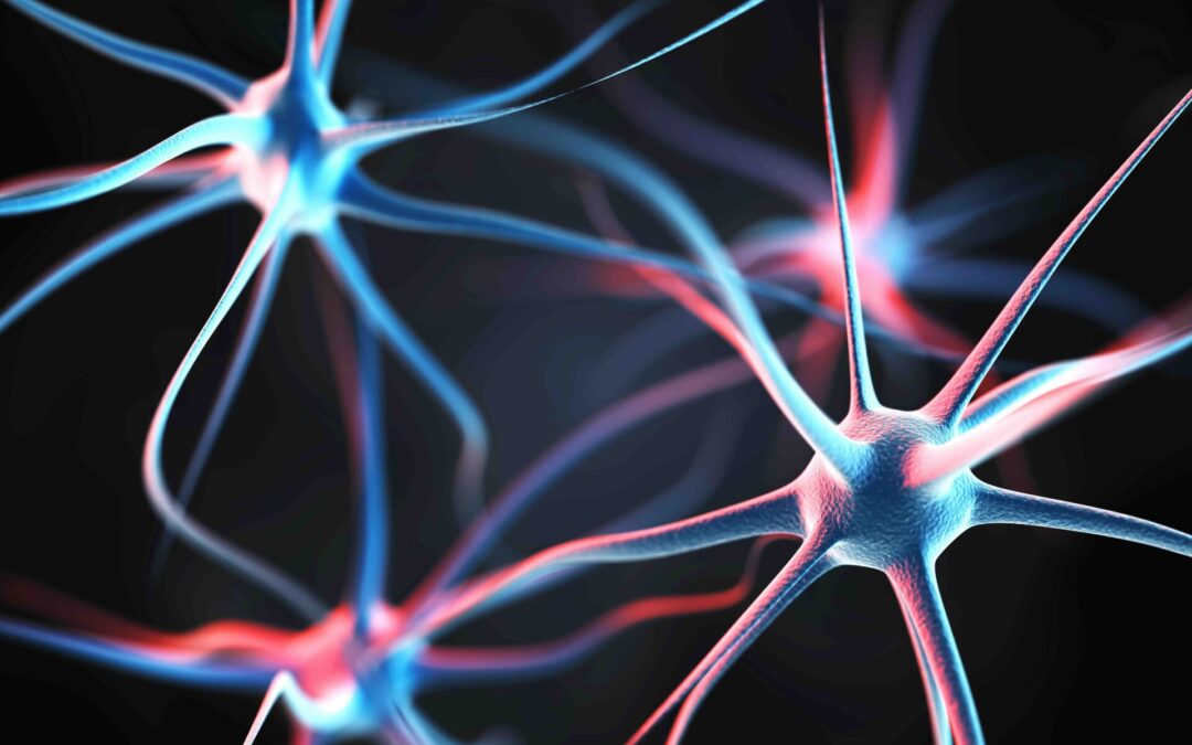 What Is Neuroplasticity?