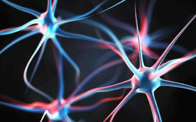 What Is Neuroplasticity?